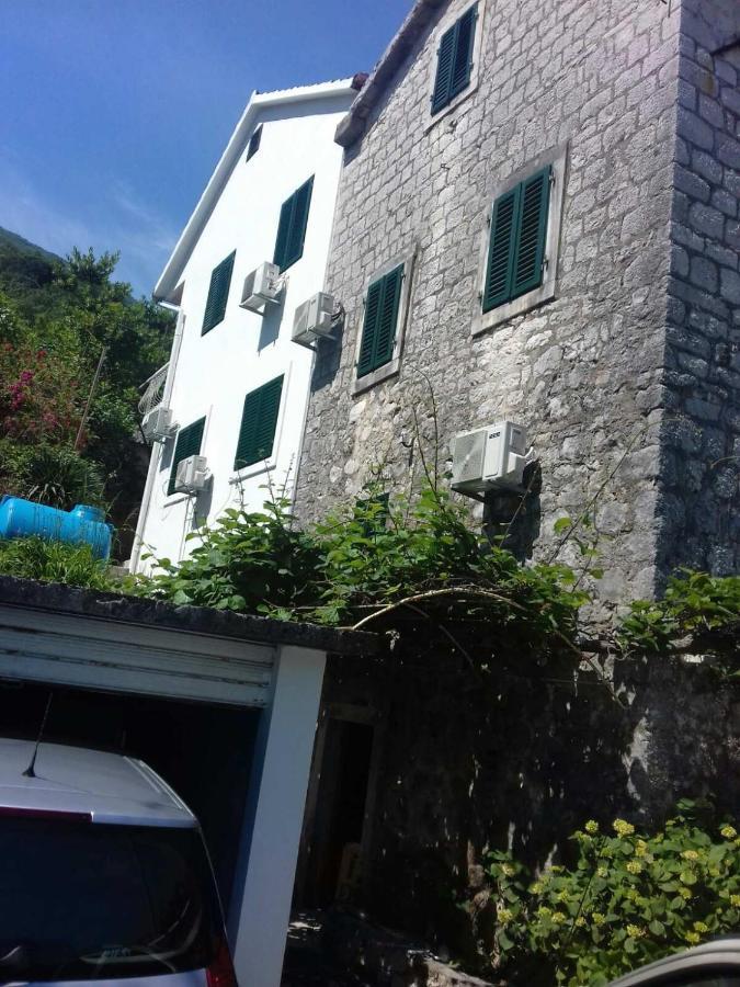 Apartments Dabovic 科托尔 外观 照片