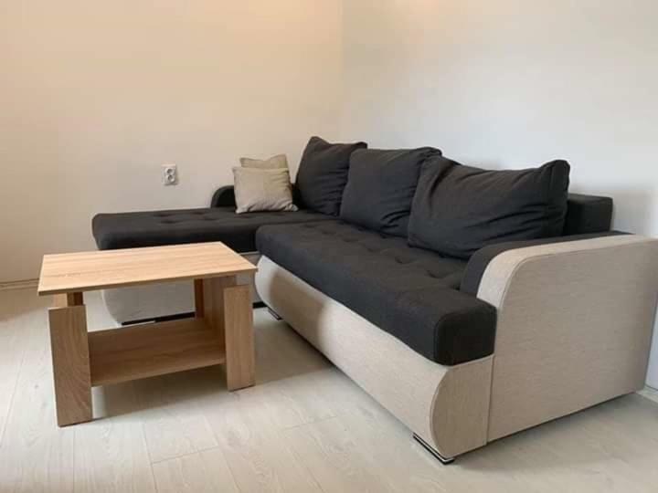 Apartments Dabovic 科托尔 外观 照片
